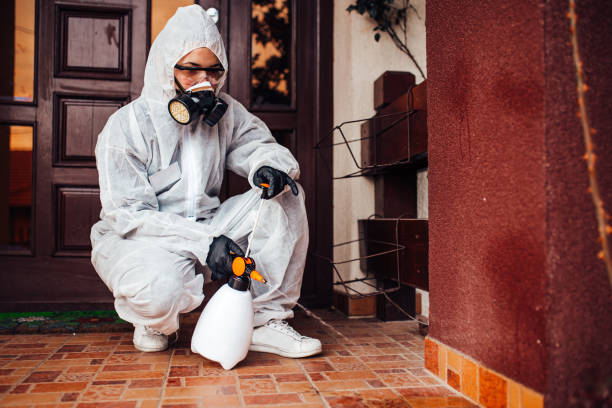 Attic and Crawl Space Rodent Treatment in Corralitos