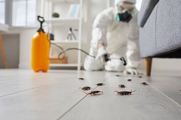Commercial Rodent Management in Corralitos